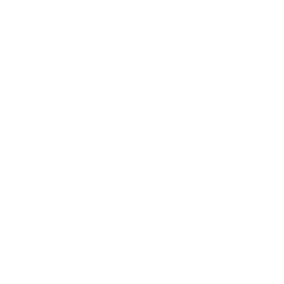 An icon shaped like a shield